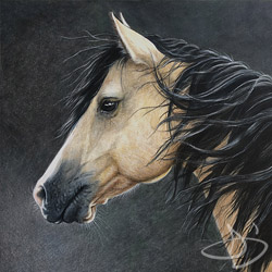 Horse Portrait Drawing